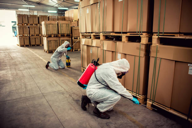 Best Wildlife Control Services  in Easton, MD
