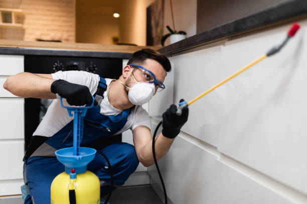 Best Pest Prevention Services  in Easton, MD