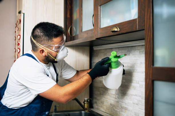 Best Best Pest Control Companies  in Easton, MD