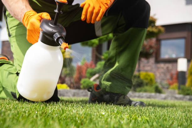 Best Affordable Pest Control Services  in Easton, MD