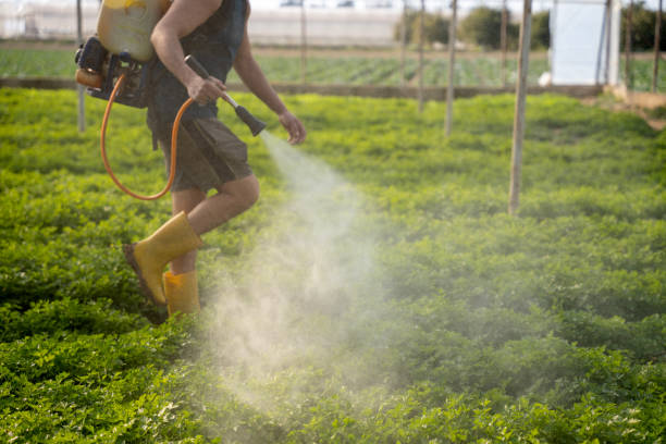 Best Affordable Pest Control Services  in Easton, MD