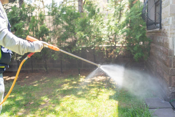 Reliable Easton, MD Pest Control Solutions