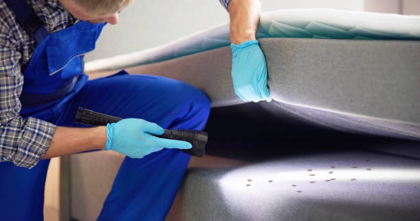 Best Residential Pest Control  in Easton, MD