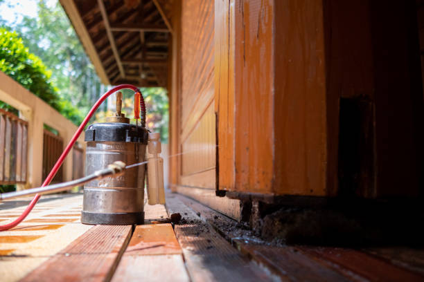 Best Ant Control Services  in Easton, MD