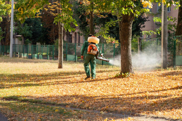Best Commercial Pest Control Services  in Easton, MD